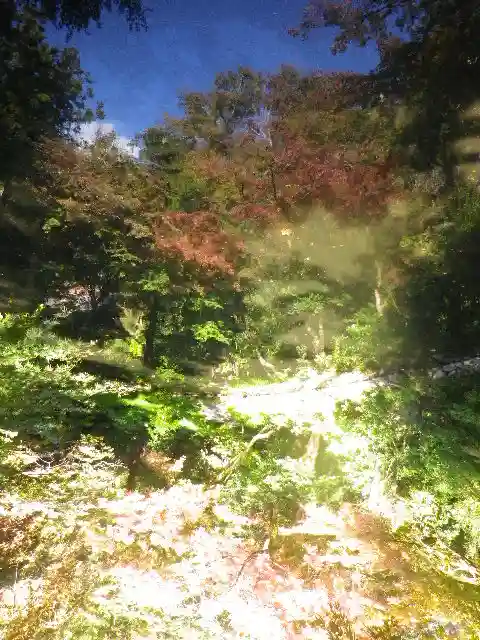 鶴岡八幡宮の自然