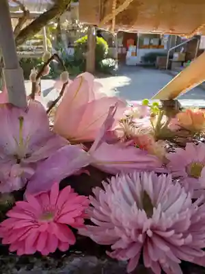 鳩森八幡神社(東京都)