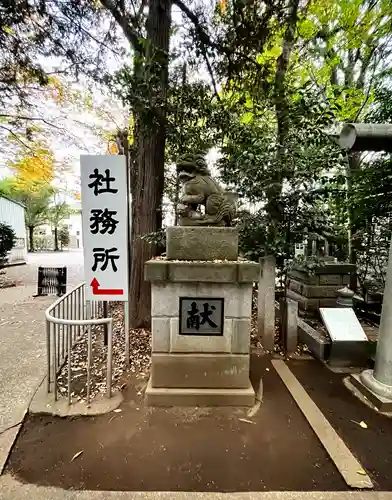 小平神明宮の狛犬