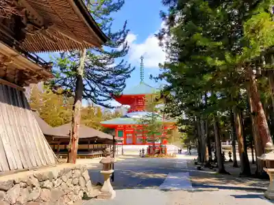 高野山金剛峯寺(和歌山県)