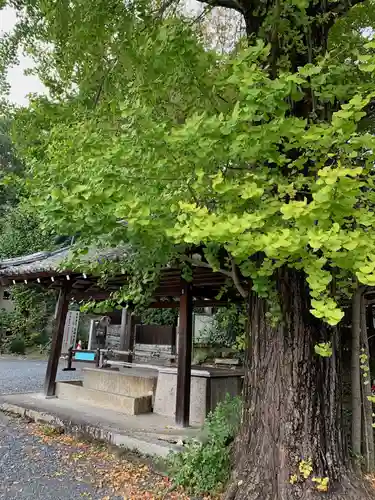 東本願寺岡崎別院のその他建物