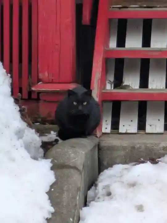 鹿角八坂神社(秋田県)