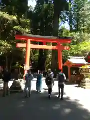 箱根神社の鳥居