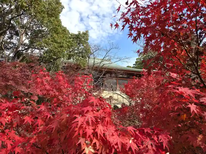 太山寺(兵庫県)