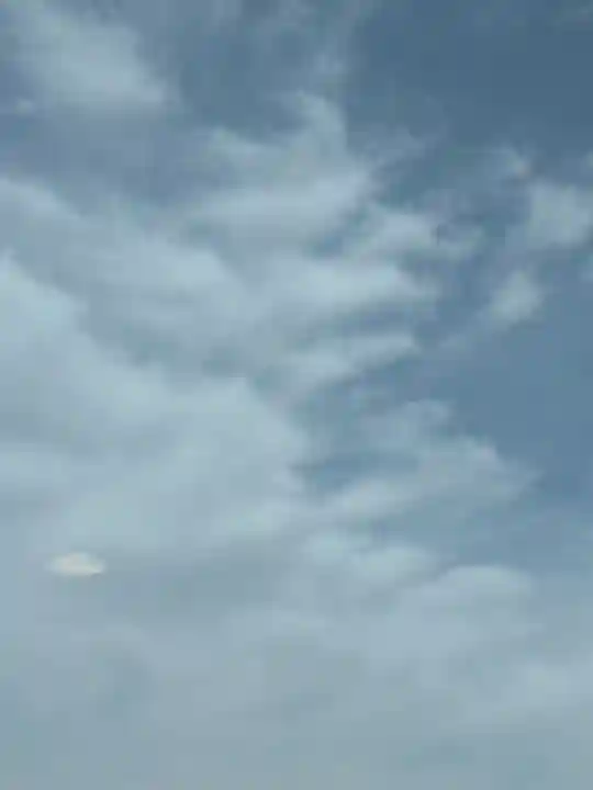 太田姫稲荷神社(東京都)