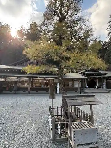 小國神社(静岡県)