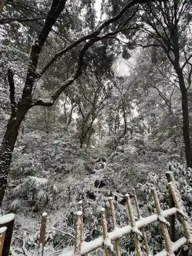 明治神宮の{uncategorized: "未分類", other: "その他", undefined: "問題あり", building: "その他建物", grave: "お墓", sacred_gate: "鳥居", guardian: "狛犬", statue: "像", buddha: "仏像", history: "歴史", nature: "自然", garden: "庭園", animal: "動物", pagoda: "塔", temizu: "手水舎", mountain_gate: "山門・神門", sanctuary: "本殿・本堂", subordinate: "末社・摂社", art: "芸術", scenery: "景色", jizo: "地蔵", ema: "絵馬", goshuin: "御朱印", omikuji: "おみくじ", items: "授与品その他", amulet: "お守り", goshuincho: "御朱印帳", eats: "食事", festival: "お祭り", votive_dance: "神楽", shichigosan: "七五三参", wedding: "結婚式", experience: "体験その他", initially: "初詣", around: "周辺", anti_infection: "感染症対策"}
