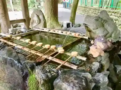 椿大神社の手水舎