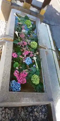 長野縣護國神社の手水舎