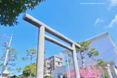 桜神宮(東京都)