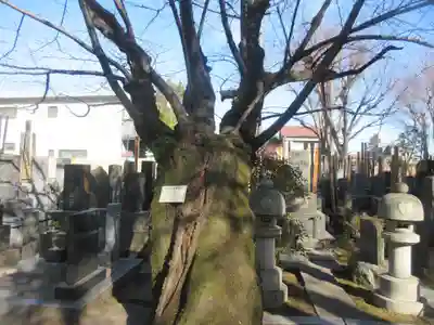 大林寺(東京都)