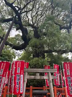 住吉大社(大阪府)