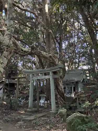 渡海神社(千葉県)
