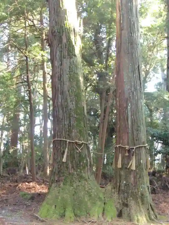 三島神社の自然