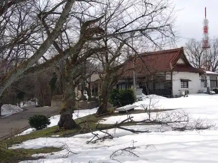 妙法寺(福井県)
