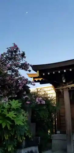 古録天神社の自然