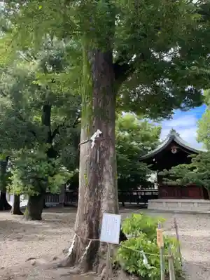 伴林氏神社のその他建物
