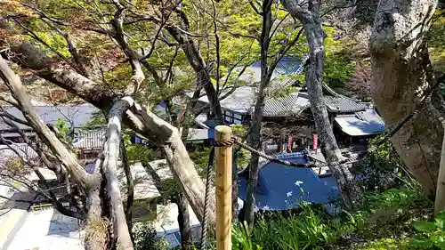 岡寺（龍蓋寺）(奈良県)