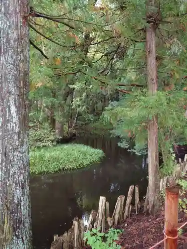 矢彦神社(長野県)
