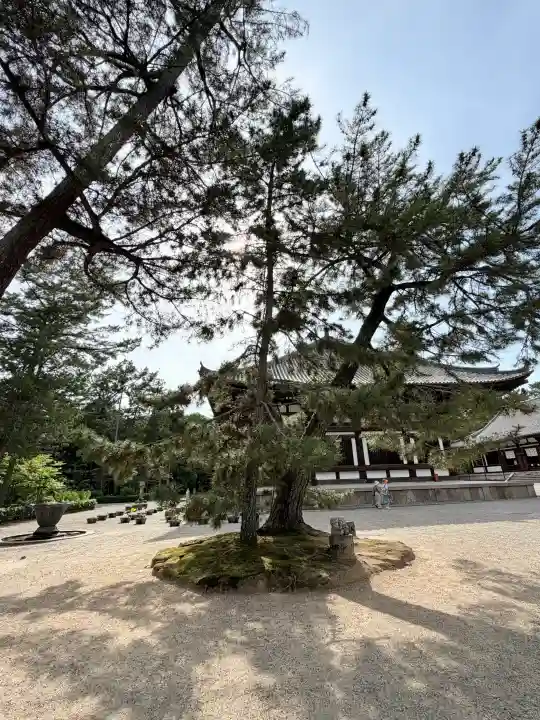 唐招提寺の{uncategorized: "未分類", other: "その他", undefined: "問題あり", building: "その他建物", grave: "お墓", sacred_gate: "鳥居", guardian: "狛犬", statue: "像", buddha: "仏像", history: "歴史", nature: "自然", garden: "庭園", animal: "動物", pagoda: "塔", temizu: "手水舎", mountain_gate: "山門・神門", sanctuary: "本殿・本堂", subordinate: "末社・摂社", art: "芸術", scenery: "景色", jizo: "地蔵", ema: "絵馬", goshuin: "御朱印", omikuji: "おみくじ", items: "授与品その他", amulet: "お守り", goshuincho: "御朱印帳", eats: "食事", festival: "お祭り", votive_dance: "神楽", shichigosan: "七五三参", wedding: "結婚式", experience: "体験その他", initially: "初詣", around: "周辺", anti_infection: "感染症対策"}