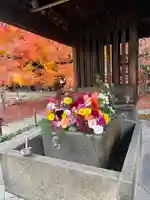 勝林寺(京都府)