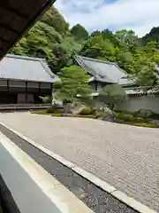 南禅寺の庭園