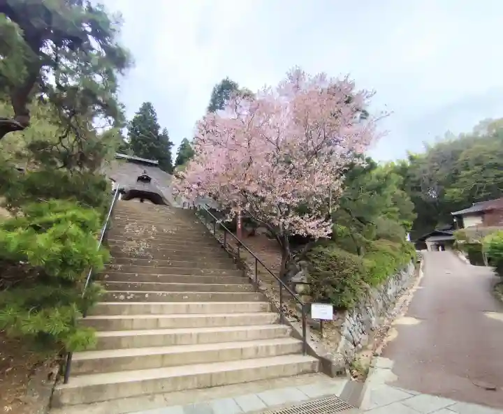 常楽寺の{uncategorized: "未分類", other: "その他", undefined: "問題あり", building: "その他建物", grave: "お墓", sacred_gate: "鳥居", guardian: "狛犬", statue: "像", buddha: "仏像", history: "歴史", nature: "自然", garden: "庭園", animal: "動物", pagoda: "塔", temizu: "手水舎", mountain_gate: "山門・神門", sanctuary: "本殿・本堂", subordinate: "末社・摂社", art: "芸術", scenery: "景色", jizo: "地蔵", ema: "絵馬", goshuin: "御朱印", omikuji: "おみくじ", items: "授与品その他", amulet: "お守り", goshuincho: "御朱印帳", eats: "食事", festival: "お祭り", votive_dance: "神楽", shichigosan: "七五三参", wedding: "結婚式", experience: "体験その他", initially: "初詣", around: "周辺", anti_infection: "感染症対策"}