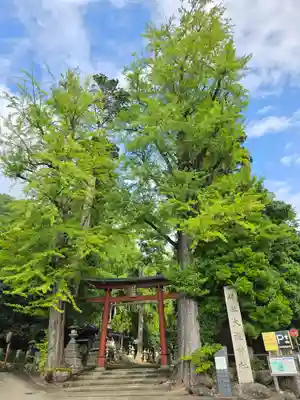 岡太神社・大瀧神社(福井県)