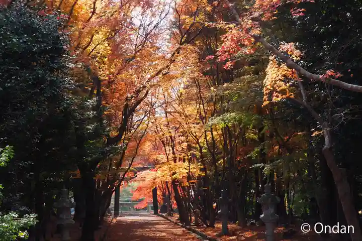 大原野神社(京都府)
