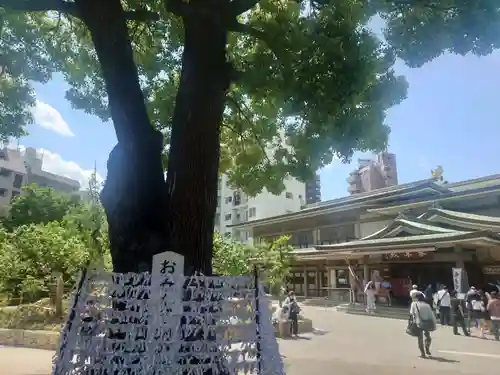 湯島天満宮(東京都)