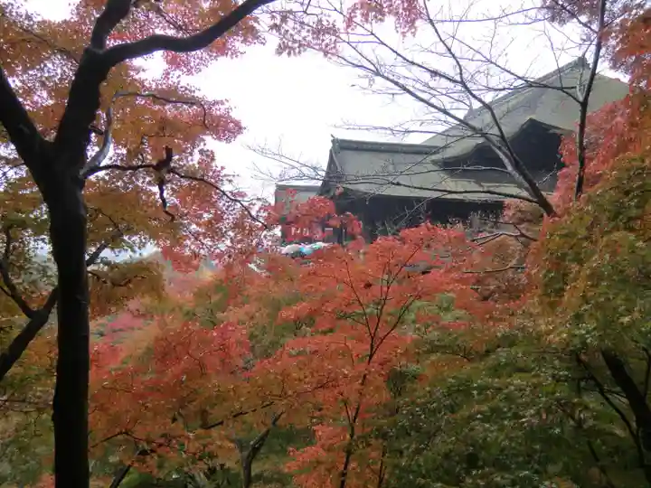清水寺(京都府)