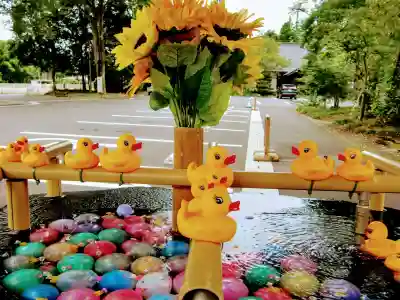 乃木神社の手水舎