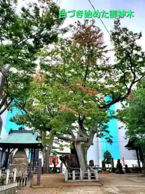 阿邪訶根神社(福島県)