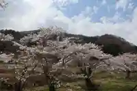 高司神社〜むすびの神の鎮まる社〜の景色