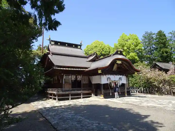 飯野八幡宮の本殿・本堂
