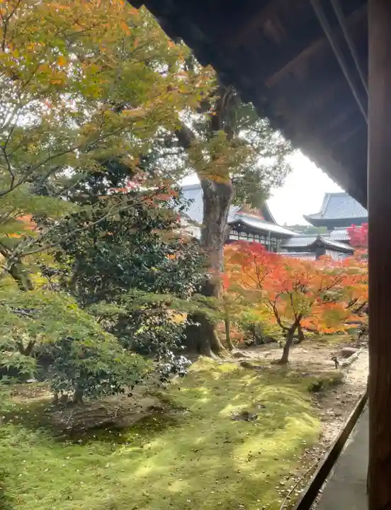 東福禅寺(東福寺)の庭園