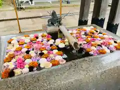 金峯神社の手水