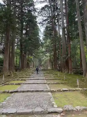 平泉寺白山神社の{uncategorized: "未分類", other: "その他", undefined: "問題あり", building: "その他建物", grave: "お墓", sacred_gate: "鳥居", guardian: "狛犬", statue: "像", buddha: "仏像", history: "歴史", nature: "自然", garden: "庭園", animal: "動物", pagoda: "塔", temizu: "手水舎", mountain_gate: "山門・神門", sanctuary: "本殿・本堂", subordinate: "末社・摂社", art: "芸術", scenery: "景色", jizo: "地蔵", ema: "絵馬", goshuin: "御朱印", omikuji: "おみくじ", items: "授与品その他", amulet: "お守り", goshuincho: "御朱印帳", eats: "食事", festival: "お祭り", votive_dance: "神楽", shichigosan: "七五三参", wedding: "結婚式", experience: "体験その他", initially: "初詣", around: "周辺", anti_infection: "感染症対策"}