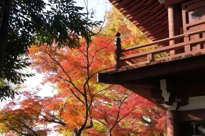 本土寺(千葉県)