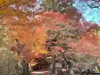 乾徳寺(滋賀県)