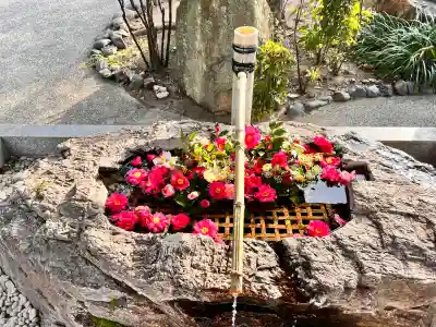 阿智神社の{uncategorized: "未分類", other: "その他", undefined: "問題あり", building: "その他建物", grave: "お墓", sacred_gate: "鳥居", guardian: "狛犬", statue: "像", buddha: "仏像", history: "歴史", nature: "自然", garden: "庭園", animal: "動物", pagoda: "塔", temizu: "手水舎", mountain_gate: "山門・神門", sanctuary: "本殿・本堂", subordinate: "末社・摂社", art: "芸術", scenery: "景色", jizo: "地蔵", ema: "絵馬", goshuin: "御朱印", omikuji: "おみくじ", items: "授与品その他", amulet: "お守り", goshuincho: "御朱印帳", eats: "食事", festival: "お祭り", votive_dance: "神楽", shichigosan: "七五三参", wedding: "結婚式", experience: "体験その他", initially: "初詣", around: "周辺", anti_infection: "感染症対策"}
