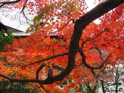 鎌倉宮(神奈川県)