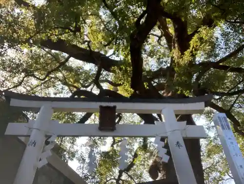 津門神社の鳥居