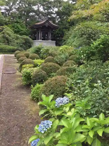 乗運寺(静岡県)
