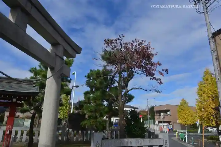 赤稲荷神社(東京都)