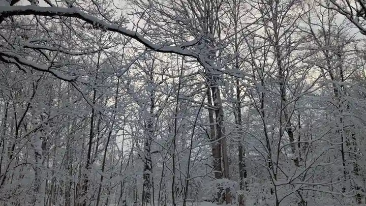 上川神社(北海道)