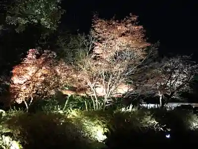 東寺（教王護国寺）(京都府)