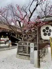 北野天満宮の庭園