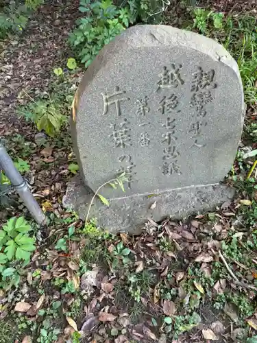 居多ケ浜見真堂(新潟県)