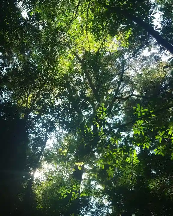 伊勢神宮内宮(皇大神宮)の自然